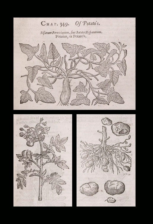 Иллюстрация к книге — Битвы за еду и войны культур. Тайные двигатели истории [i_183.jpg]