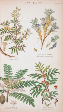 Иллюстрация к книге — Битвы за еду и войны культур. Тайные двигатели истории [i_184.jpg]