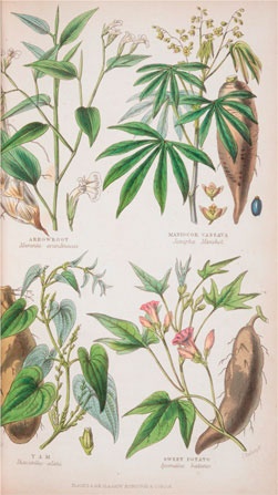 Иллюстрация к книге — Битвы за еду и войны культур. Тайные двигатели истории [i_185.jpg]