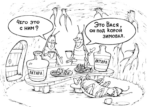 Иллюстрация к книге — Защита сада и огорода без химии. Как перехитрить болезни и вредителей [i_005.jpg]