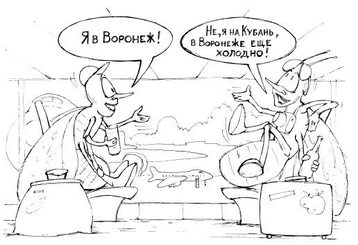 Иллюстрация к книге — Защита сада и огорода без химии. Как перехитрить болезни и вредителей [i_008.jpg]