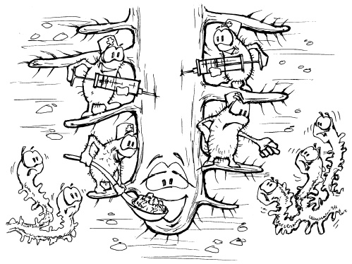 Иллюстрация к книге — Защита сада и огорода без химии. Как перехитрить болезни и вредителей [i_012.jpg]