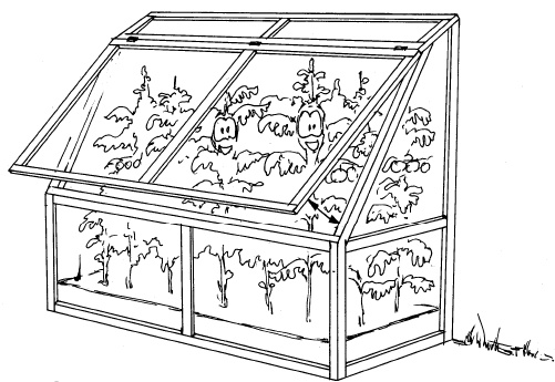 Иллюстрация к книге — Защита сада и огорода без химии. Как перехитрить болезни и вредителей [i_015.jpg]