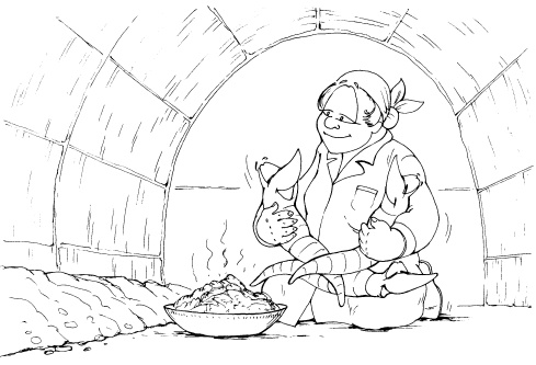 Иллюстрация к книге — Защита сада и огорода без химии. Как перехитрить болезни и вредителей [i_026.jpg]