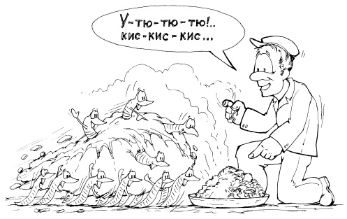 Иллюстрация к книге — Защита сада и огорода без химии. Как перехитрить болезни и вредителей [i_028.jpg]