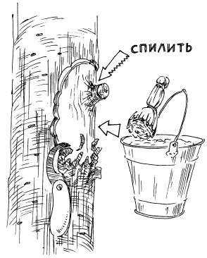 Иллюстрация к книге — Защита сада и огорода без химии. Как перехитрить болезни и вредителей [i_045.jpg]