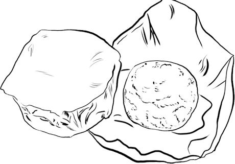 Иллюстрация к книге — Готовим дома сыры. Твердые, сливочные, рассольные, с плесенью [i_011.jpg]