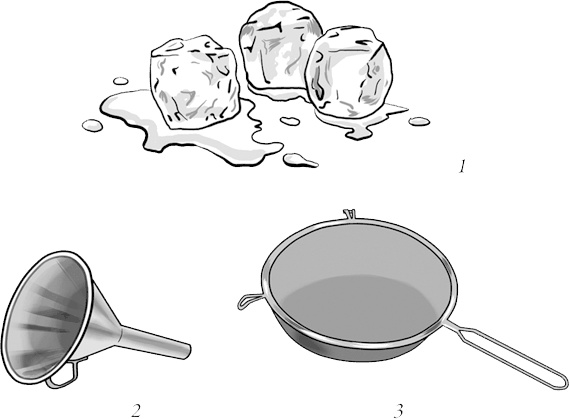 Иллюстрация к книге — Готовим дома масло, сливки, сметану, творожные и плавленые сыры [i_002.jpg]