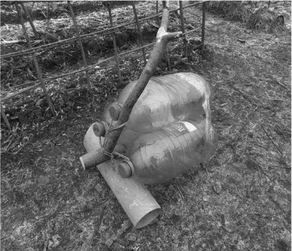 Иллюстрация к книге — Посевной календарь на 2017 год с советами ведущего огородника [i_019.jpg]