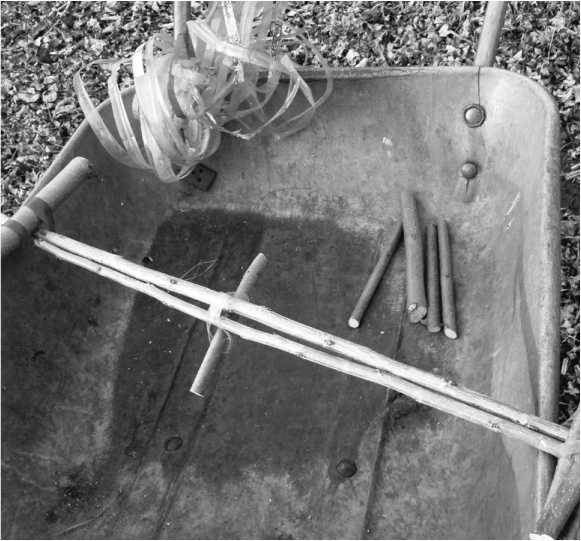 Иллюстрация к книге — Посевной календарь на 2017 год с советами ведущего огородника [i_022.jpg]