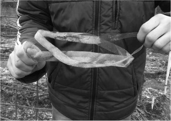 Иллюстрация к книге — Посевной календарь на 2017 год с советами ведущего огородника [i_024.jpg]