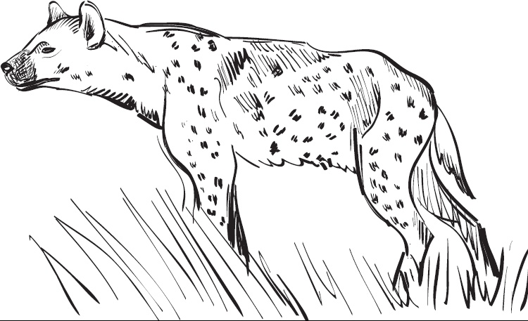 Иллюстрация к книге — Мои питомцы. С вопросами и ответами для почемучек [_100.jpg]