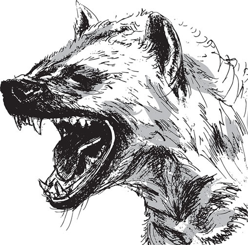 Иллюстрация к книге — Мои питомцы. С вопросами и ответами для почемучек [_102.jpg]