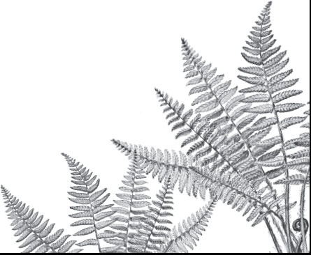 Иллюстрация к книге — Мои питомцы. С вопросами и ответами для почемучек [_108.jpg]