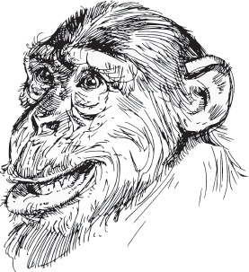 Иллюстрация к книге — Мои питомцы. С вопросами и ответами для почемучек [_11.jpg]