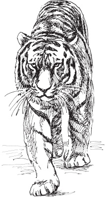 Иллюстрация к книге — Мои питомцы. С вопросами и ответами для почемучек [_115.jpg]