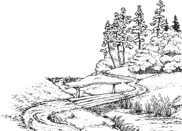 Иллюстрация к книге — Мои питомцы. С вопросами и ответами для почемучек [_118.jpg]