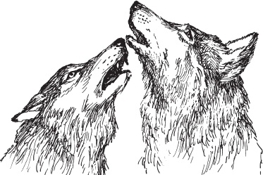 Иллюстрация к книге — Мои питомцы. С вопросами и ответами для почемучек [_127.jpg]