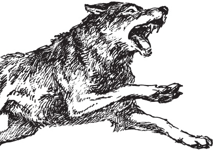 Иллюстрация к книге — Мои питомцы. С вопросами и ответами для почемучек [_135.jpg]