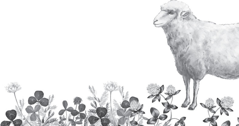 Иллюстрация к книге — Мои питомцы. С вопросами и ответами для почемучек [_136.jpg]