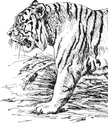 Иллюстрация к книге — Мои питомцы. С вопросами и ответами для почемучек [_138.jpg]