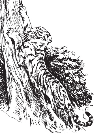 Иллюстрация к книге — Мои питомцы. С вопросами и ответами для почемучек [_139.jpg]