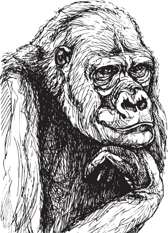 Иллюстрация к книге — Мои питомцы. С вопросами и ответами для почемучек [_14.jpg]