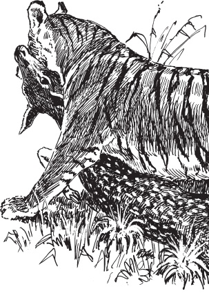 Иллюстрация к книге — Мои питомцы. С вопросами и ответами для почемучек [_140.jpg]