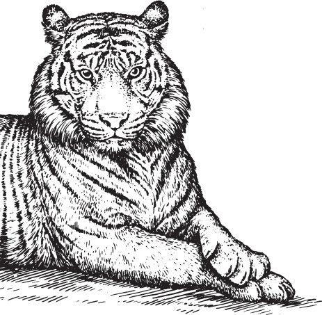 Иллюстрация к книге — Мои питомцы. С вопросами и ответами для почемучек [_145.jpg]