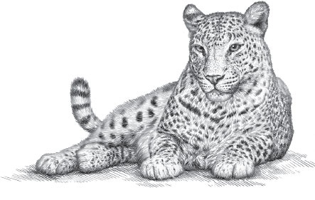 Иллюстрация к книге — Мои питомцы. С вопросами и ответами для почемучек [_18.jpg]