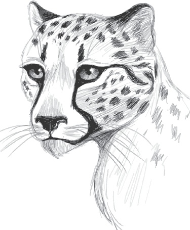 Иллюстрация к книге — Мои питомцы. С вопросами и ответами для почемучек [_21.jpg]