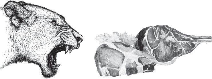 Иллюстрация к книге — Мои питомцы. С вопросами и ответами для почемучек [_23.jpg]