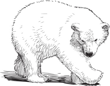 Иллюстрация к книге — Мои питомцы. С вопросами и ответами для почемучек [_30.jpg]