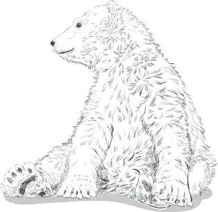 Иллюстрация к книге — Мои питомцы. С вопросами и ответами для почемучек [_33.jpg]