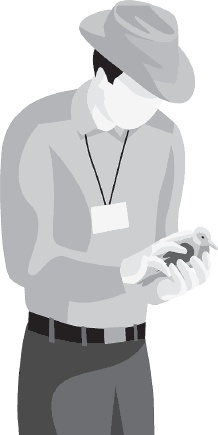 Иллюстрация к книге — Мои питомцы. С вопросами и ответами для почемучек [_34.jpg]