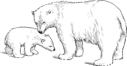 Иллюстрация к книге — Мои питомцы. С вопросами и ответами для почемучек [_35.jpg]