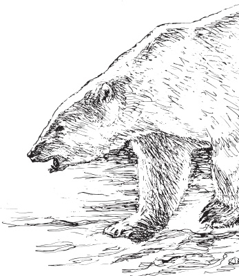 Иллюстрация к книге — Мои питомцы. С вопросами и ответами для почемучек [_37.jpg]