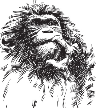 Иллюстрация к книге — Мои питомцы. С вопросами и ответами для почемучек [_4.jpg]