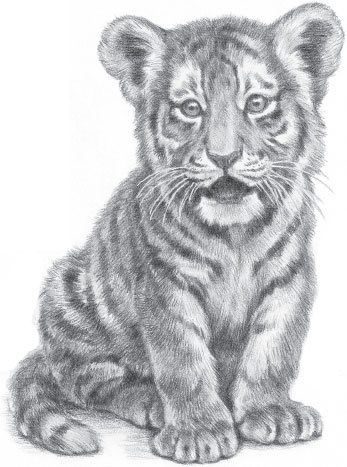 Иллюстрация к книге — Мои питомцы. С вопросами и ответами для почемучек [_41.jpg]