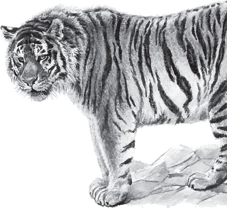 Иллюстрация к книге — Мои питомцы. С вопросами и ответами для почемучек [_44.jpg]