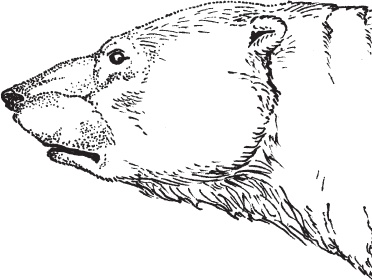 Иллюстрация к книге — Мои питомцы. С вопросами и ответами для почемучек [_46.jpg]