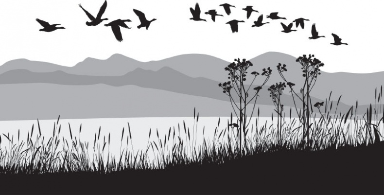 Иллюстрация к книге — Мои питомцы. С вопросами и ответами для почемучек [_58.jpg]