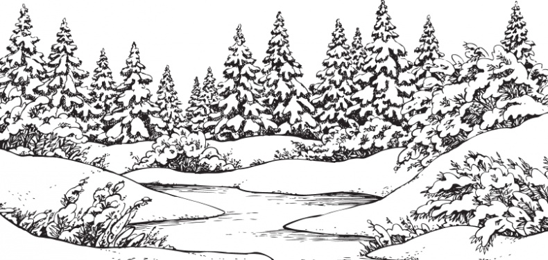 Иллюстрация к книге — Мои питомцы. С вопросами и ответами для почемучек [_59.jpg]