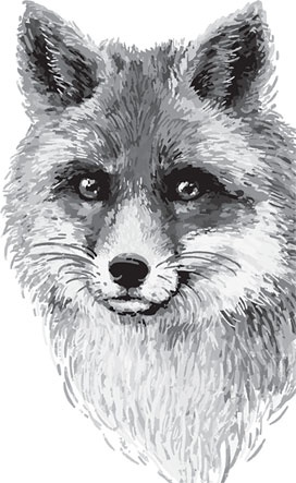 Иллюстрация к книге — Мои питомцы. С вопросами и ответами для почемучек [_71.jpg]