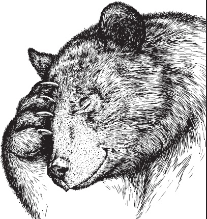 Иллюстрация к книге — Мои питомцы. С вопросами и ответами для почемучек [_72.jpg]