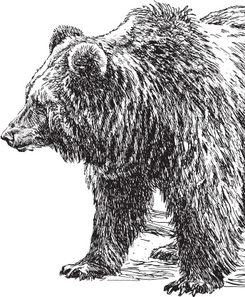 Иллюстрация к книге — Мои питомцы. С вопросами и ответами для почемучек [_73.jpg]