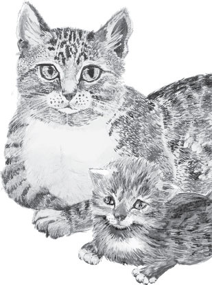 Иллюстрация к книге — Мои питомцы. С вопросами и ответами для почемучек [_77.jpg]