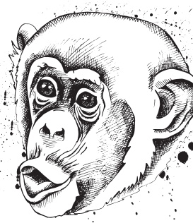 Иллюстрация к книге — Мои питомцы. С вопросами и ответами для почемучек [_9.jpg]