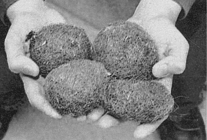 Иллюстрация к книге — 100 великих загадок природы [i_007.jpg]