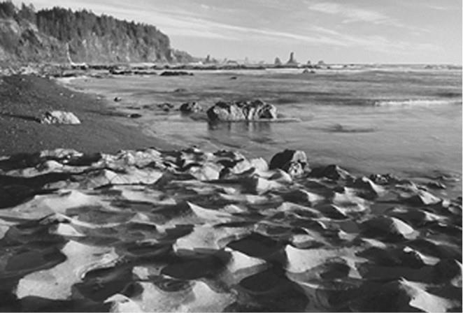 Иллюстрация к книге — 100 великих загадок природы [i_014.jpg]